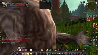 Questing and Dungeon Spam - All Classes WOW HC. League and others later.
