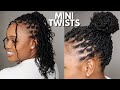 THE MOST VERSATILE MINI TWISTS FOR THE SUMMER | MINI TWIST SZN | NATURAL HAIR