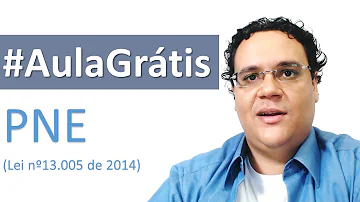 O que diz a Lei nº 13005 2014?