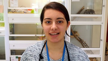 Animal Care courses at Capel Manor College