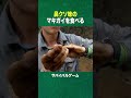 #shorts 鼻クソの味を知ってるってことは…(ディスカバリーチャンネル)