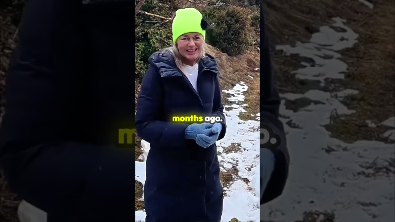 Stop Using Your Car as a Mobile Storage Unit! 🚗👜