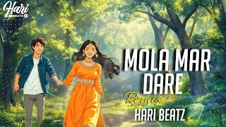 Hari Beatz || MOLA MAR DARE || REMIX || DJ SONG
