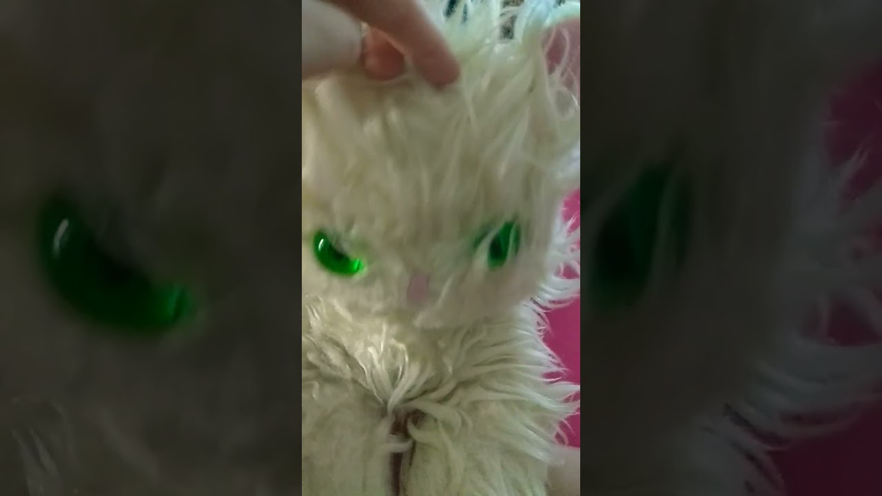 как тигр делает хргааа