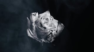 D4vd - Romantic Homicide // Slowed & Reverb