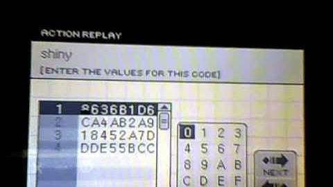 how to put in action replay codes