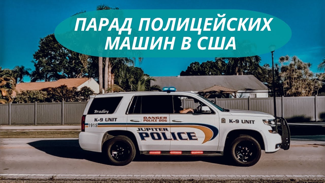 Сколько машин в америке Сколько машин в америке