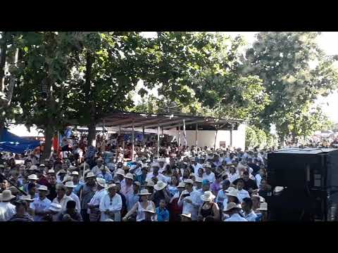 EXITOS Y BAILES