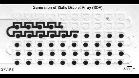 Nanoliter drop storage and dilution