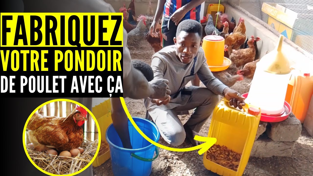 COMMENT FABRIQUER votre PONDOIR de poulet goliath AVEC les BIDONS