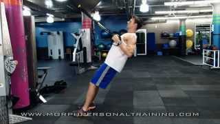 Morph Exercise Instruction: Male TRX Body Weight Row