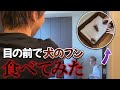 犬のうんこを目の前で食べた時の飼い主の反応www