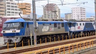 【Electric locomotive】 EF210-128 and EF64 1010