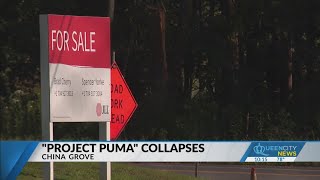 China Grove s 258M Project Puma no longer happening