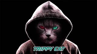 Trippy Cat - Minimal Techno 2020 September