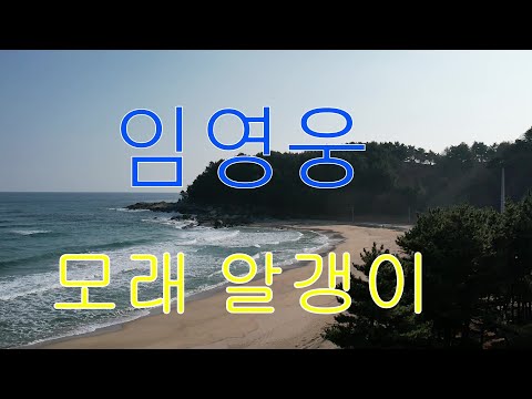임영웅 (신곡) 모래 알갱이 /  자막