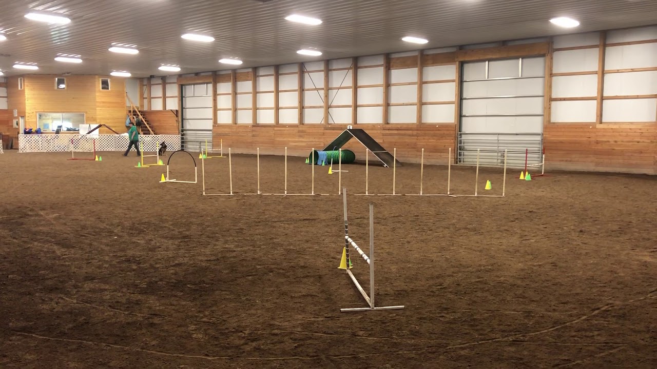 Quick Quail Elite Reg 4