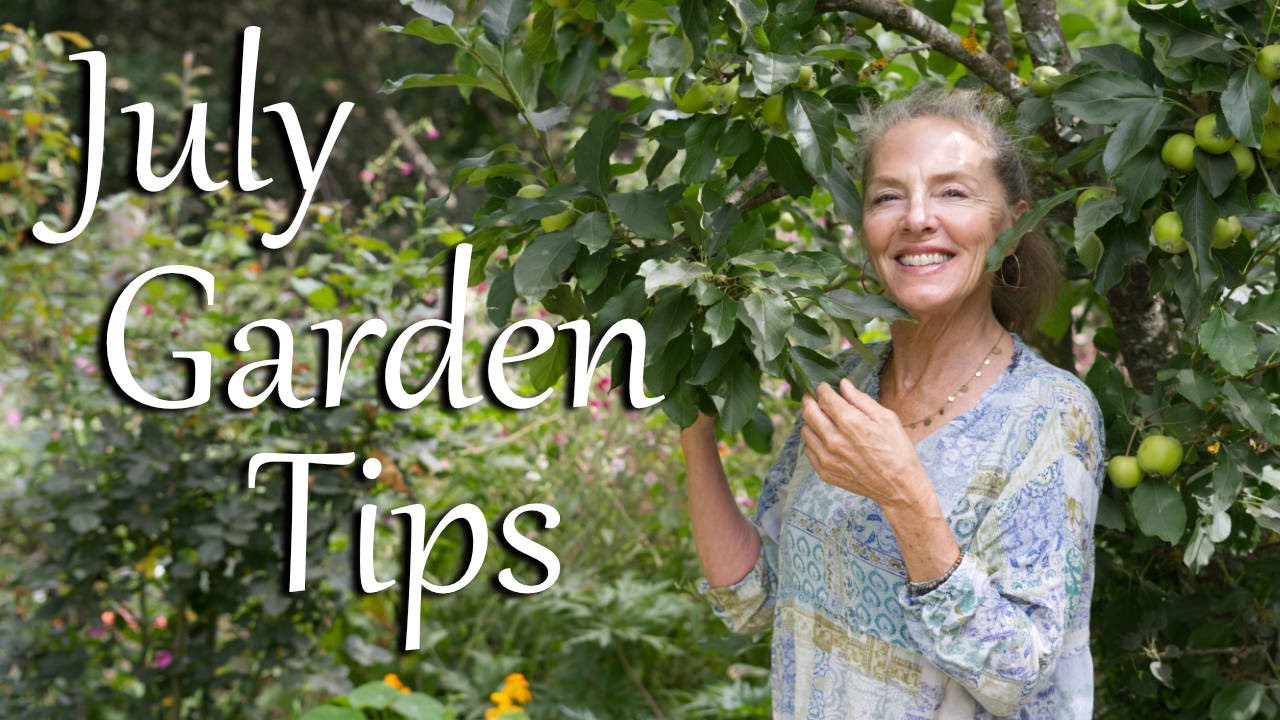 In the July Garden - Tips and Tricks Plus Bonus Lavender Pruning!! 🌻💜 