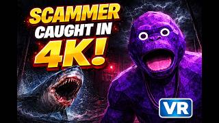 Scammer caught in 4k