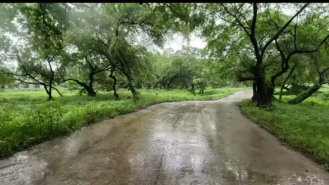 75- رحلة خريف صلالة 2025