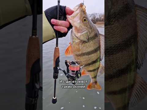 Ставь эту приманку и поймаешь много рыбы! #рыбалка #спиннинг