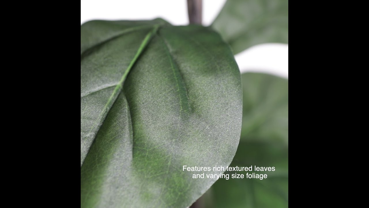 Vickerman 6' Artificial Potted Fiddle Tree, TB180272_WOB