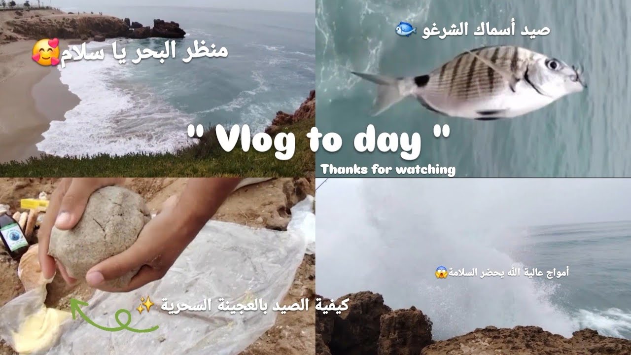 🎣 الصيد بشاطئ أنزا , أمواج قوية😱 وحصيلة ممتازة في النهاية ولله الحمد .      #plage #agadir #pêche 