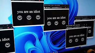 I ran the you are an idiot virus on my computer 😬