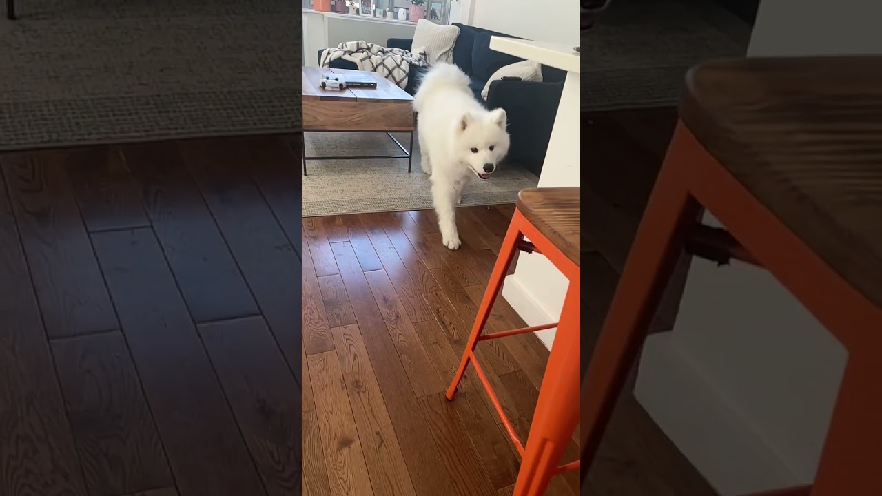 The best greeting ever 