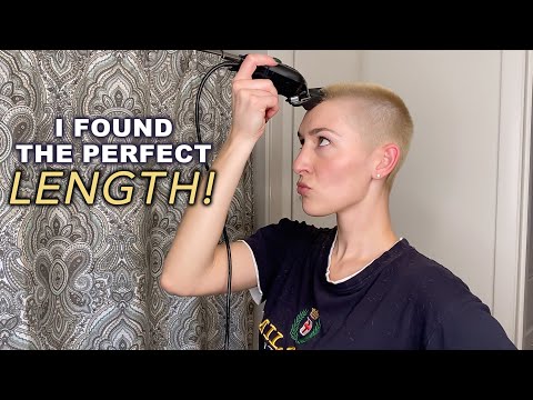 HEAD SHAVE ASMR | Hey Its Emjay