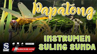 INSTRUMEN SULING SUNDA PAPATONG