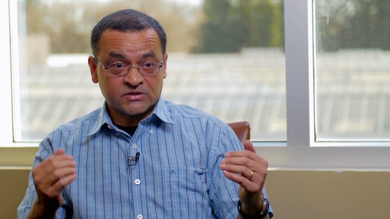 Management of Lygus Bugs and Cabbage Seedpod Weevils in Canola