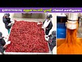        chilli powder plant  fz rover  malayalam