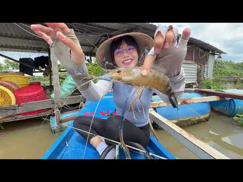 Câu Tôm Mùa Nước Đỏ Trên Sông Đồng Nai Shrimp Fishing on the Dong Nai River