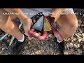 Knapping Agatized Coral Preforms- Part 3