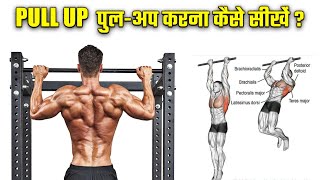 Daily PULL UP  पुल-अप करना कैसे सीखें  From Beginners to Athletes Level Pull-Up | Fitness Fighters