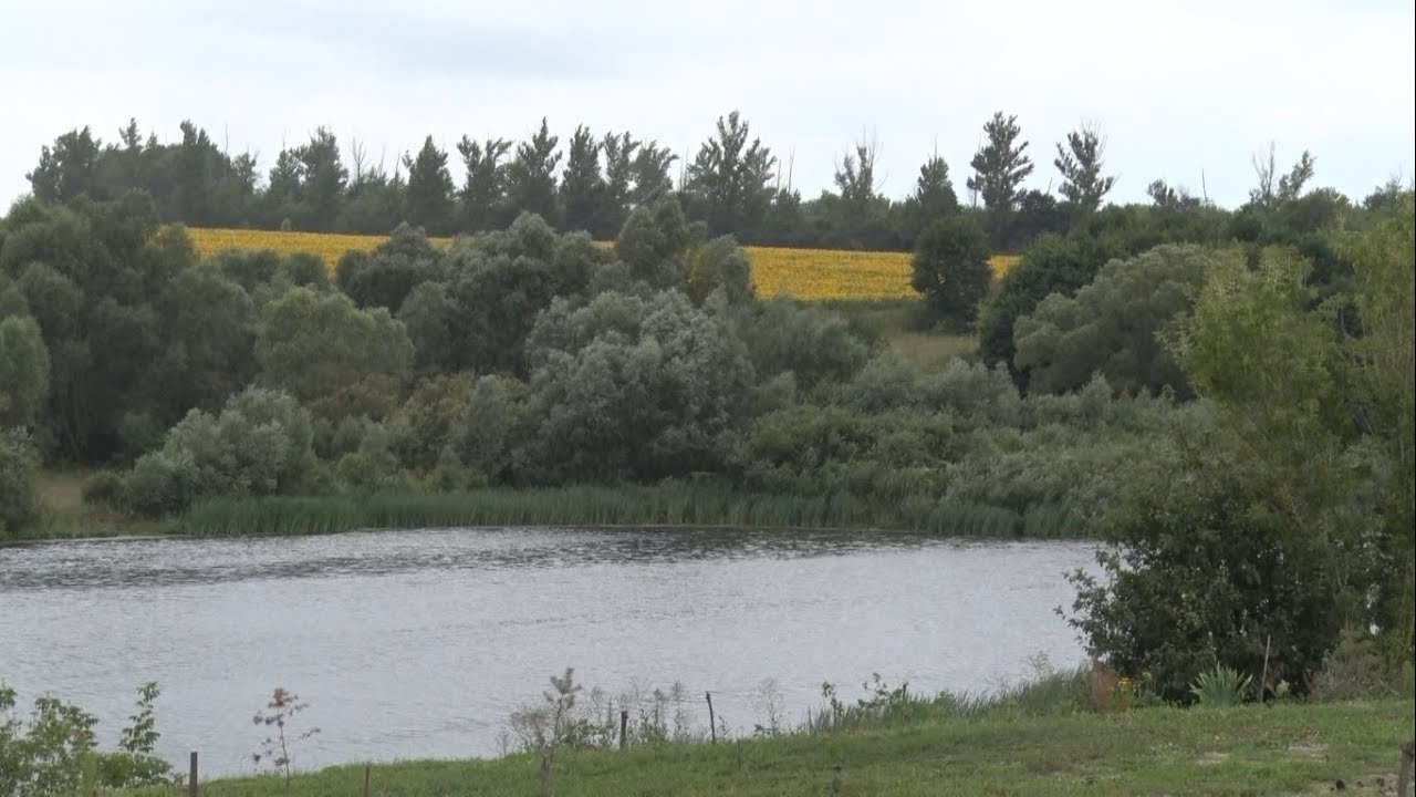 Продажа Домов Чернянка Белгородская Область