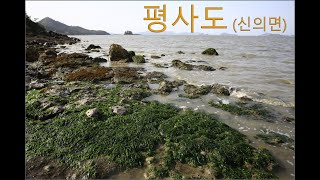 신의면  평사도
