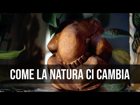 Video: Cos'è La Natura?