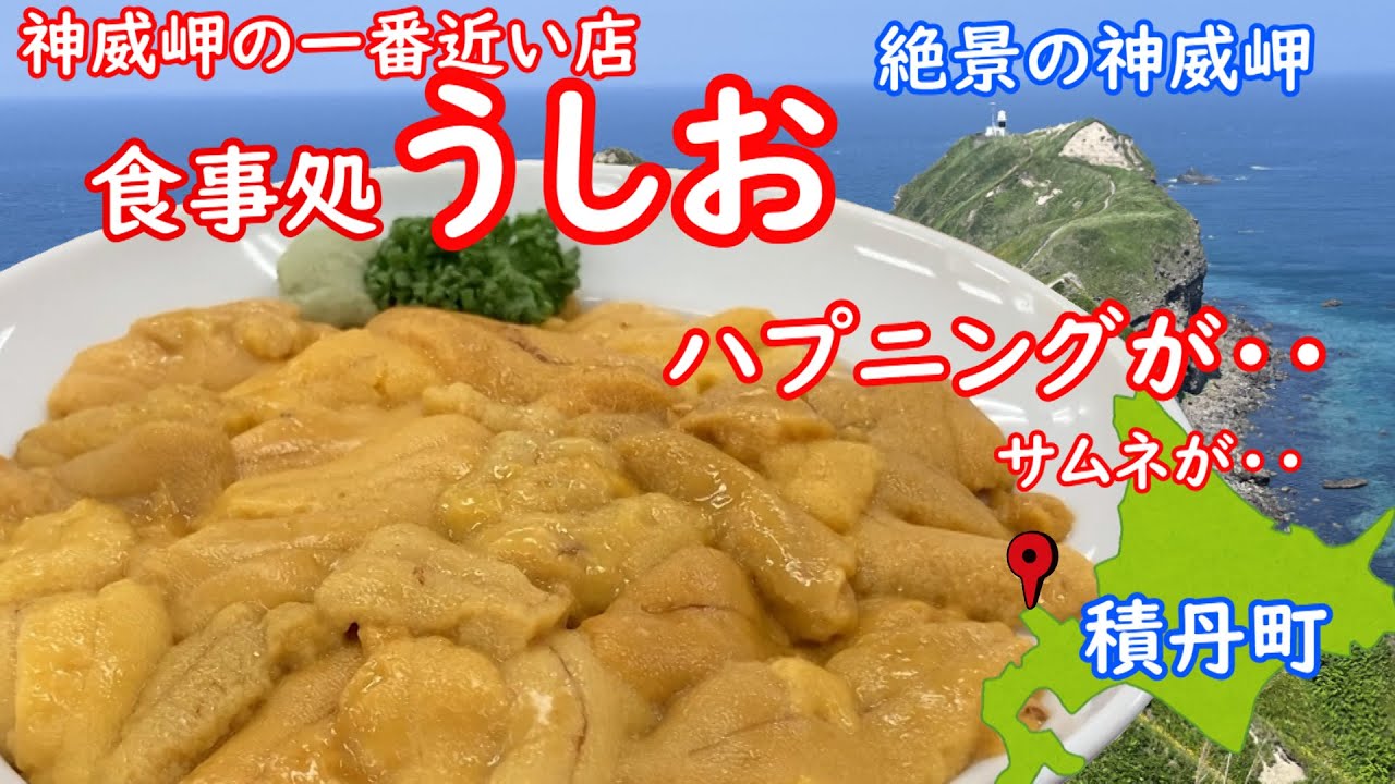 人気店 食堂うしお 生うに丼 積丹ブルーの神威岬に１番近いお店の激うま生うに丼 Youtube