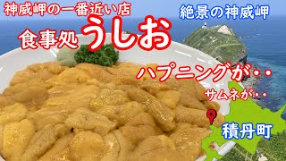 人気店「食堂うしお」生うに丼。積丹ブルーの神威岬に１番近いお店の激うま生うに丼。