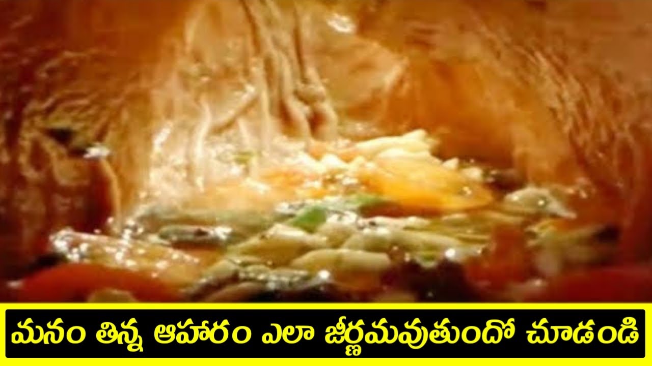 How food digest in our stomach explained in telugu | how digestive system works in human body telugu
