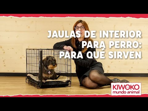 Video: Consejos para elegir una jaula portátil para perros