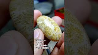 batu mustika lipan #shorts #mustika