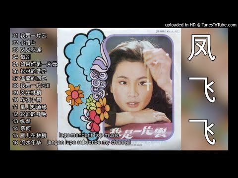 16 Lagu Mandarin-70-An-Feng fei fei-凤飞飞