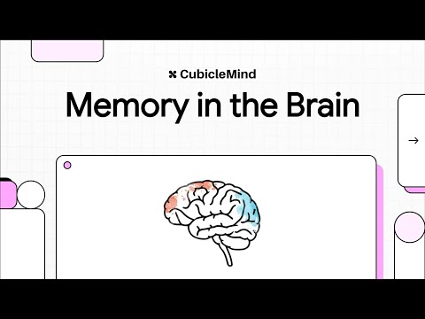 Explicit vs. Implicit Memory