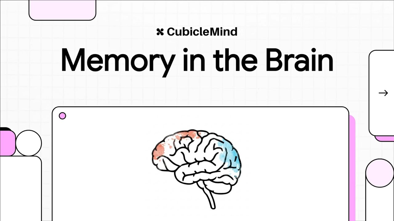 Explicit vs. Implicit Memory