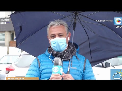 Móvil Maldonado: Estado de salud de Susana Gimenez Móvil Maldonado: Estado de salud de Susana Gimenez