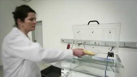 LEAK MASTER EASY leak detector bubble test