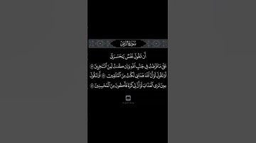 القرآن الكريم سورة الزمر آيه ٥٦-٥٨